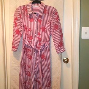 ZARA Embroidered Floral Shirt Dress